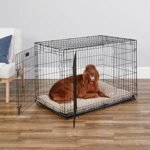 MidWest Homes for Pets 42-Inch iCrate for Large Breeds, 71-90 lbs, Double Door Folding Dog Crate with Divider Panel, Leak-Proof Tray & Secure Latches, Portable, Durable & Easy to Assemble - Image 3